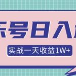 某团队内部项目，抖音音乐号多方面实战操作，一天收益10160元，月入30W+