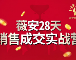 薇安28天销售成交实战营，5分钟成交3万，实现了月入近6位数的营收