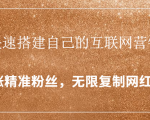 如何快速搭建自己的互联网营销系统，疯狂涨精准粉丝，无限复制网红流量