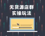 售价2980元无货源店群实操玩法，蓝海选品的独特思路，店群软件操作方法