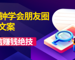 60分钟学会朋友圈杀手文案，一个让你快速赚钱的营销技术！微信赚钱绝技