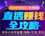 直播赚钱攻略，教你涨粉/引流/带货/变现，轻松月入10万+！