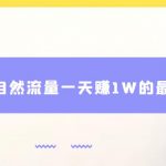 视频号自然流量一天赚1W的最新打法，基本0投资【揭秘】