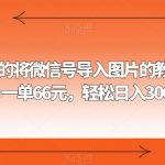 外面收费66的将微信号导入图片的教程，可自用或卖教程，一单66元，轻松日入300+【揭秘】