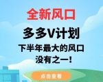 全新风口，多多V计划，下半年最大的风口项目，没有之一【揭秘