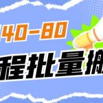 外面收费698的携程撸包秒到项目，单机40-80可批量