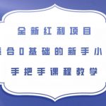 全新红利项目，适合0基础的新手小白，手把手课程教学【揭秘】