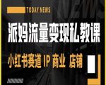 “派妈流量变现私教课，小红书赛道IP  商业  店铺 
