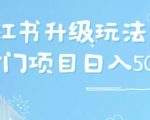 小红书升级玩法，冷门暴利项目无门槛操作，轻松日赚500+