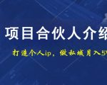 项目合伙人项目，打造个人IP，做私域月入5W，小白勿扰