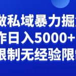 负债粉私域暴力掘金，小白操作入5000，无经验限制，无条件限制【揭秘