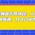 中视频音乐号项目：小白副业变现指南，月入过W不是梦【揭秘】