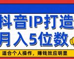 抖音IP打造，适合个人操作，赚钱效应明显，月入5位数