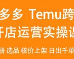 2024Temu最新玩法，Temu跨境开店运营实操课，开店注册/选品/核价上架/日出千单实战课