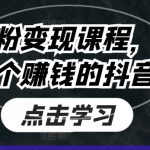 抖音涨粉变现课程，带你做一个赚钱的抖音号