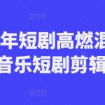 2024年短剧高燃混剪教程—音乐短剧剪辑玩法