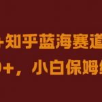 抖音+知乎蓝海赛道，日入几张，小白保姆级教程【揭秘