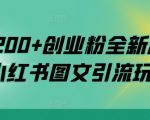日引200+创业粉全新思路，小红书图文引流玩法【揭秘