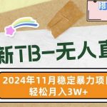 最新TB-无人直播】11月最新，打造你的日不落直播间，轻松月入过W【揭秘】