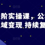 公域转私域进阶实操课，公域引流 私域变现 持续复购