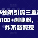 小红书独家引流三重奏，当天引流100+创业粉，流量爆炸不愁变现【揭秘