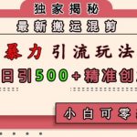 最新搬运混剪暴力引流玩法，轻松日引500+精准创业粉，小白可零基础上手
