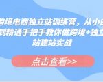 跨境电商独立站训练营，从小白到精通手把手教你做跨境+独立站建站实战