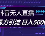 抖音快手视频号全平台通用无人直播引流法，利用图片模板和语音话术，暴力日引流100+创业粉【揭秘】