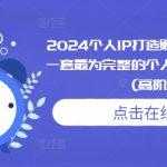 2024个人IP打造孵化模式流程课，一套最为完整的个人短视频落地课程(高阶班