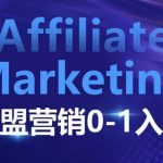 ​​​​​​Affiliate Marketing联盟营销0-1入门，联盟营销基本逻辑 联盟平台逻辑及联盟客逻辑全面详解”