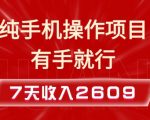 纯手机操作的小项目，有手就能做，7天收入2609+实操教程【揭秘