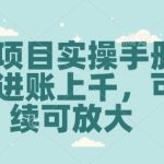 教辅项目实操手册，单日进账上千，可持续可放大