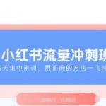 小红书流量冲刺班2025，最懂小红书的女人，快速教你2025年入局小红书