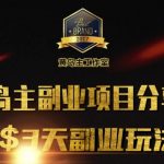 黄岛主副业分享会1期：3天3个副业玩法，速度上车