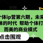 超级个体ip营第六期，未来是超级个体的时代  帮助个体打造小而美的商业模式