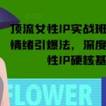 顶流女性IP实战班，流量上亿情绪引爆法，深度打磨顶流女性IP硬核基本功