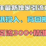 2025年最新独家引流方法，低投入高回报？当日引流300+精准创业粉
