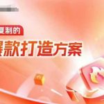 天猫电商爆款运营，可复制的爆款打造方案(线下内训课录音+字幕)