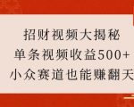 招财视频大揭秘：单条视频收益500+，小众赛道也能挣翻天