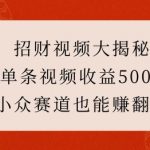 招财视频大揭秘：单条视频收益500+，小众赛道也能挣翻天