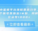 网易小蜜蜂平台涨粉思路分享，1晚上3个账号各跑出1W粉，同时引流公众号1000+”