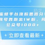 网易小蜜蜂平台涨粉思路分享，1晚上3个账号各跑出1W粉，同时引流公众号1000+”