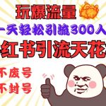 小红书引流天花板，玩爆流量，一天轻松引流300人，安全操作