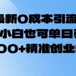 2月最新0成本引流方法，新手小白也可单日引流500+精准创业粉