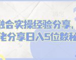 短剧融合实操经验分享，短剧大佬分享日入5位数秘籍