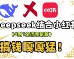 “deepseek+小红书打造流量生产线实操课，0到1全流程搞钱拆解