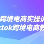TikTok跨境电商实操训练营，tiktok跨境电商教程