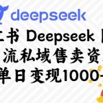 小红书Deepseek图文引流私域售卖资料，单日变现多张