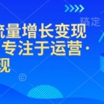 TikTok流量增长变现训练营，专注于运营·涨粉·变现