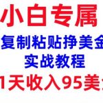 复制粘贴挣美金，0门槛，1天收入95美刀，3分钟学会，内部教程(首次公开)